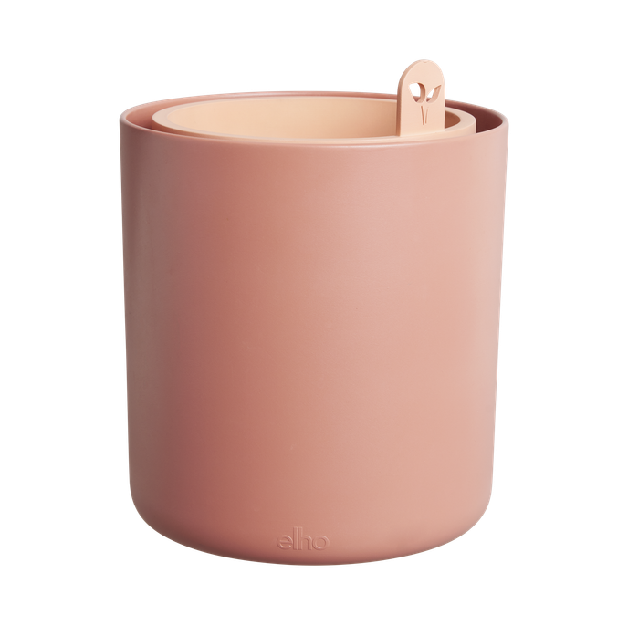 bouncy basil mou terra